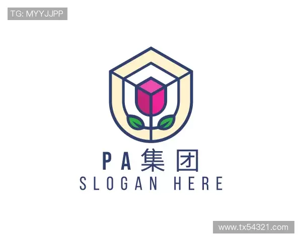 介绍pa集团官方网站